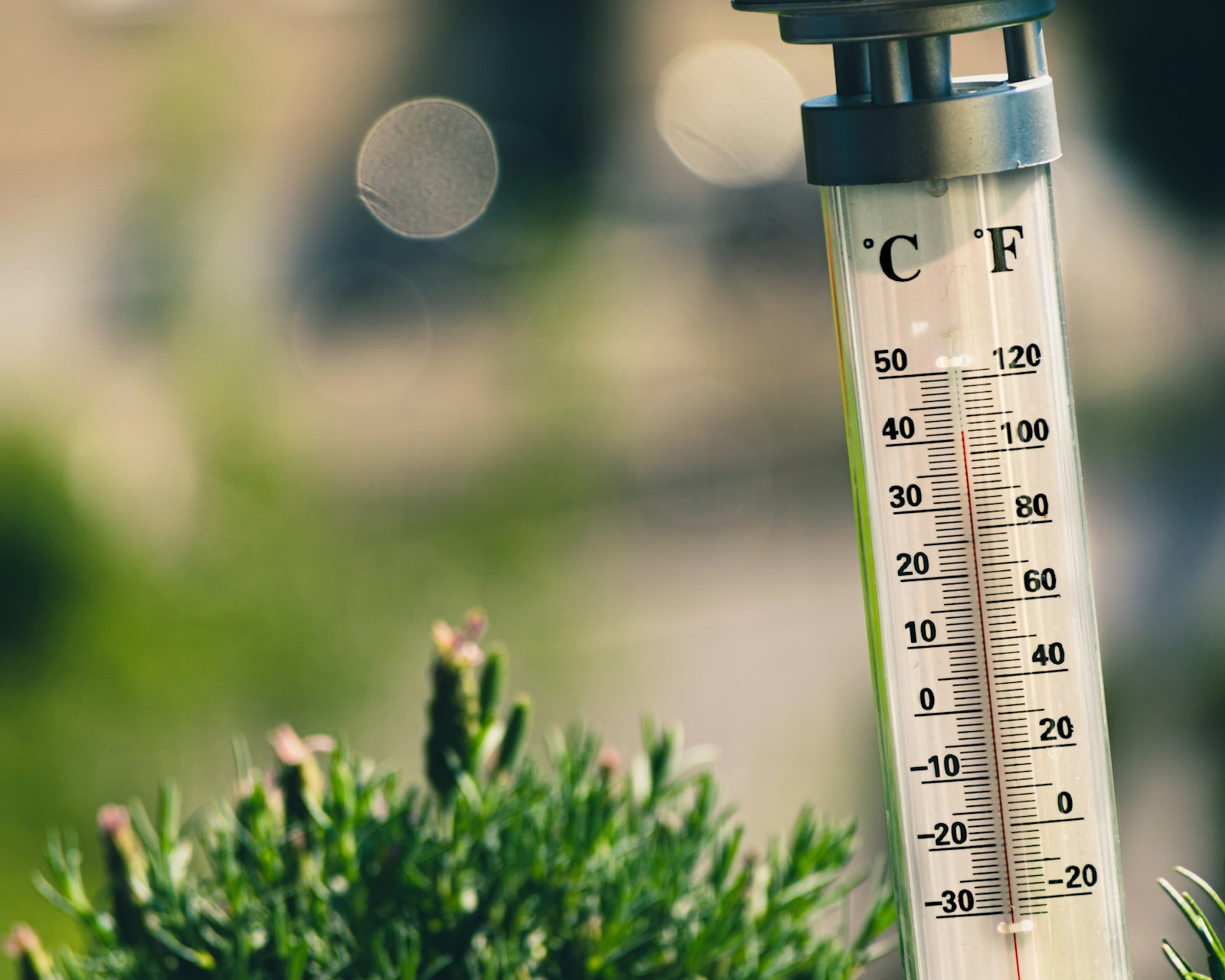 Termômetro marcando 41 graus Celsius sob o sol