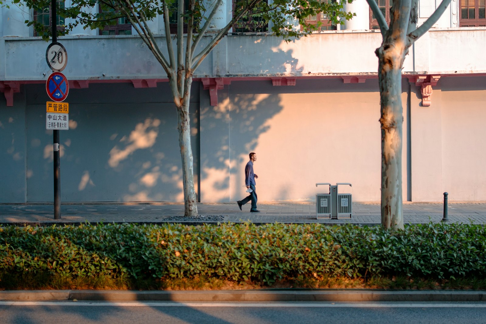 Homem caminhando sozinho em uma calcada arborizada com a luz baixa do fim da tarde